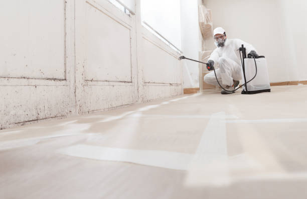 24/7 Emergency Commercial Mold Remediation experts in Jackson, NC