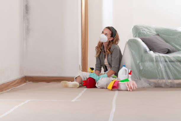 Reliable Commercial Mold Remediation contractor in Jackson, NC by WQB Mold Removal