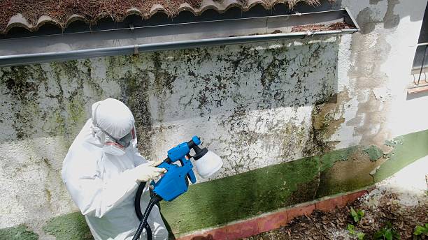 Top rated local Commercial Mold Remediation specialists in Jackson, NC